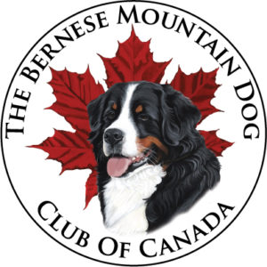 Bernese Mountain Dog Club of Canada Logo